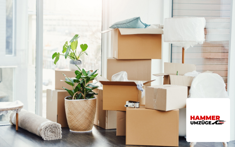 Umzugskartons, Logo Umzugsunternehmen