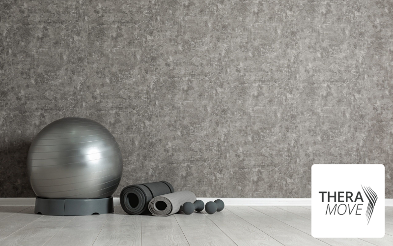 Medizinball, Logo Physiotherapie Praxis